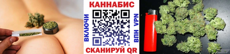 Марихуана сатива  Вуктыл 